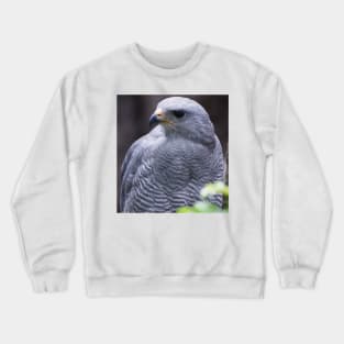 sli grey harris Crewneck Sweatshirt